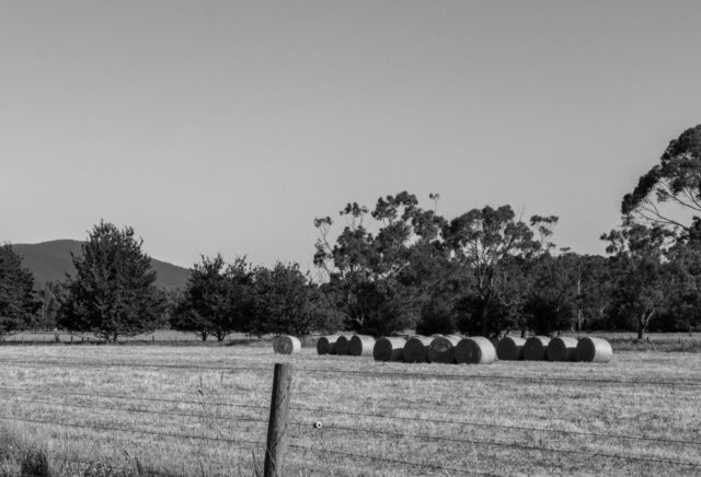 Quick overview of advanced custom fields