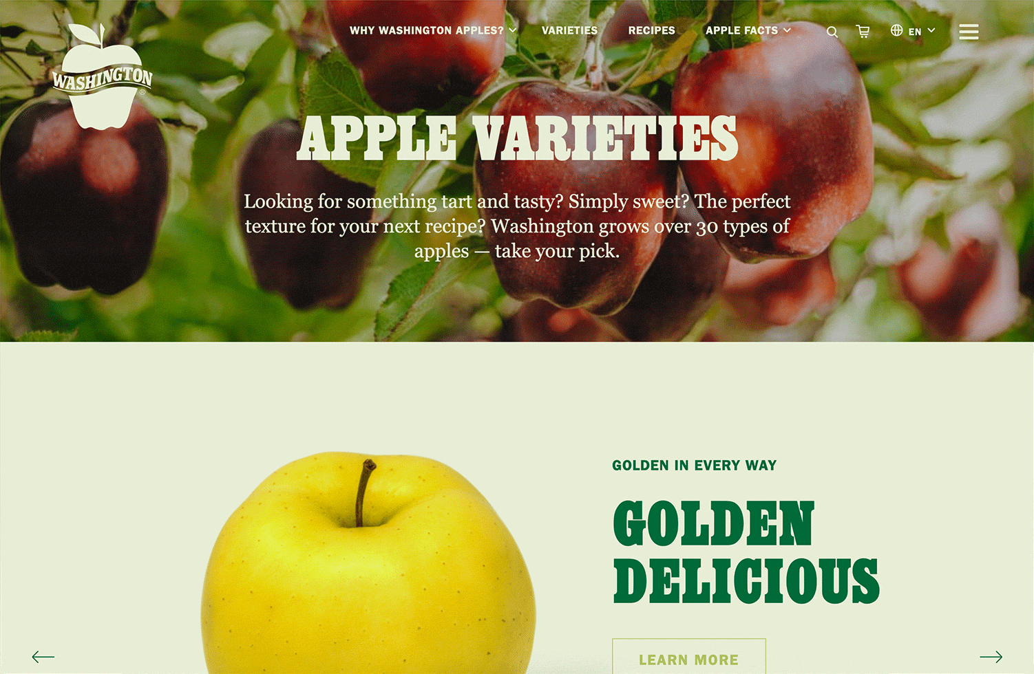 Golden Delicious - Washington Apples