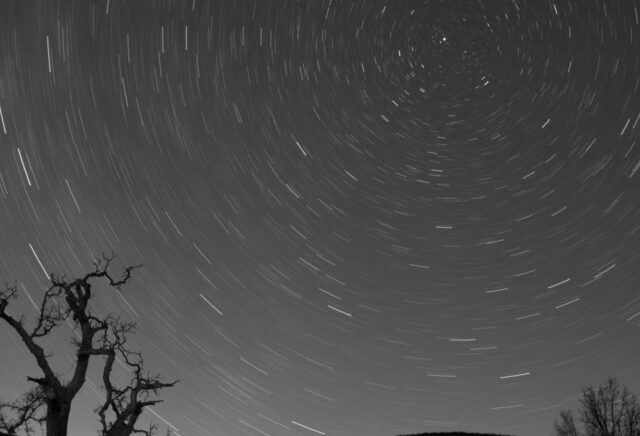 Why we have one project lead