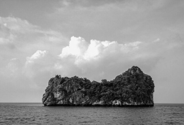 Stop saying “obviously”